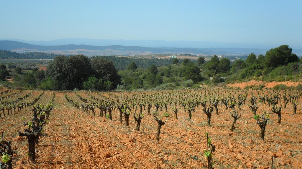 Finca Casa Nueva Requena Extérieur photo